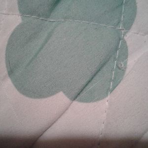 Meet your Posher, Pacey